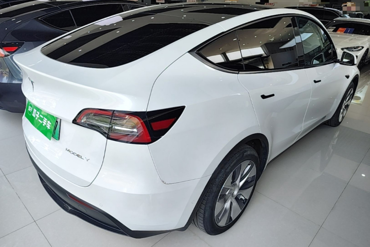 Tesla Model Y 2021 car image #7