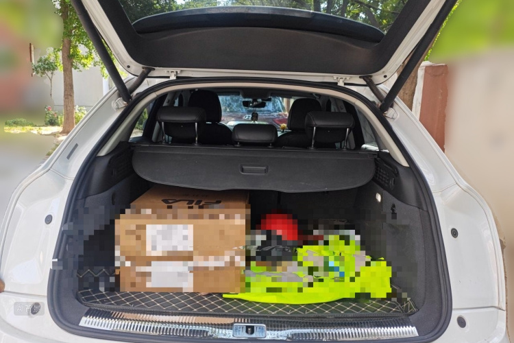Audi Q3 2019 car image #21
