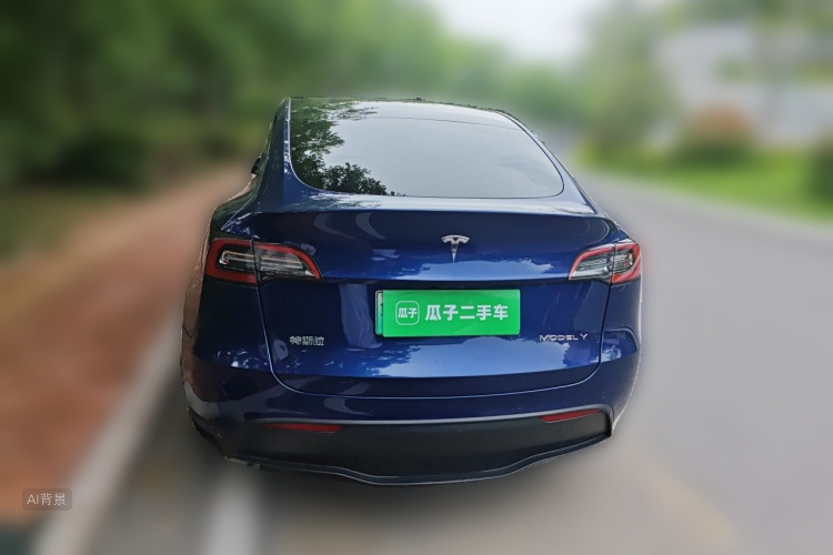 Tesla Model Y 2021 car image #6