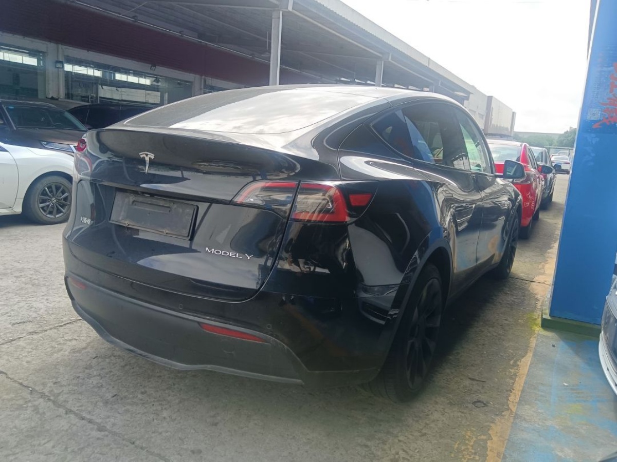 Tesla Model Y 2023 #5 Tesla Model Y 2023 car image #5