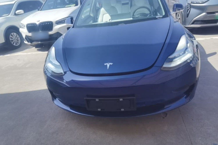 Tesla Model 3 2020 #3 Tesla Model 3 2020 car image #3