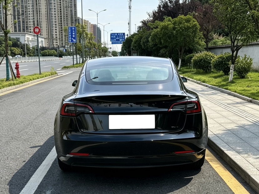 Tesla Model 3 2023 #8 Tesla Model 3 2023 car image #8