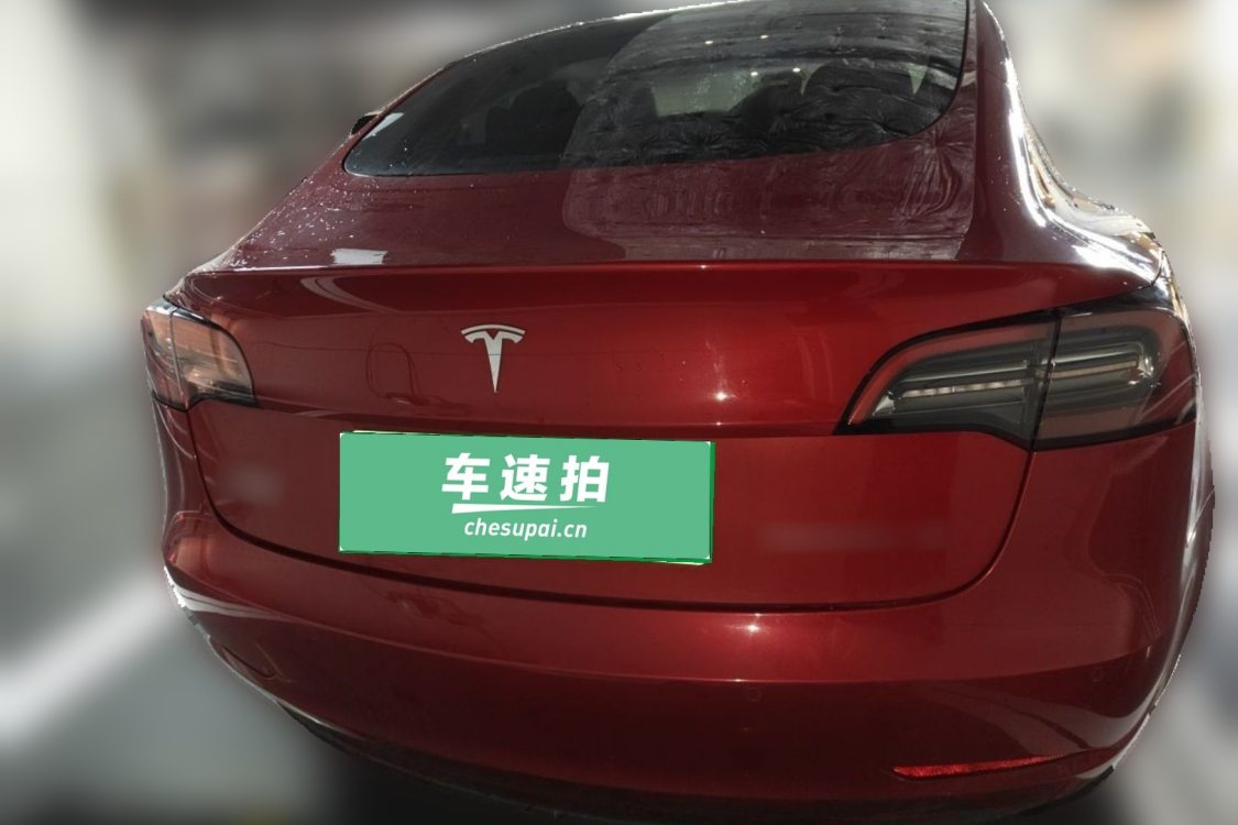 Tesla Model 3 2021 #6 Tesla Model 3 2021 car image #6