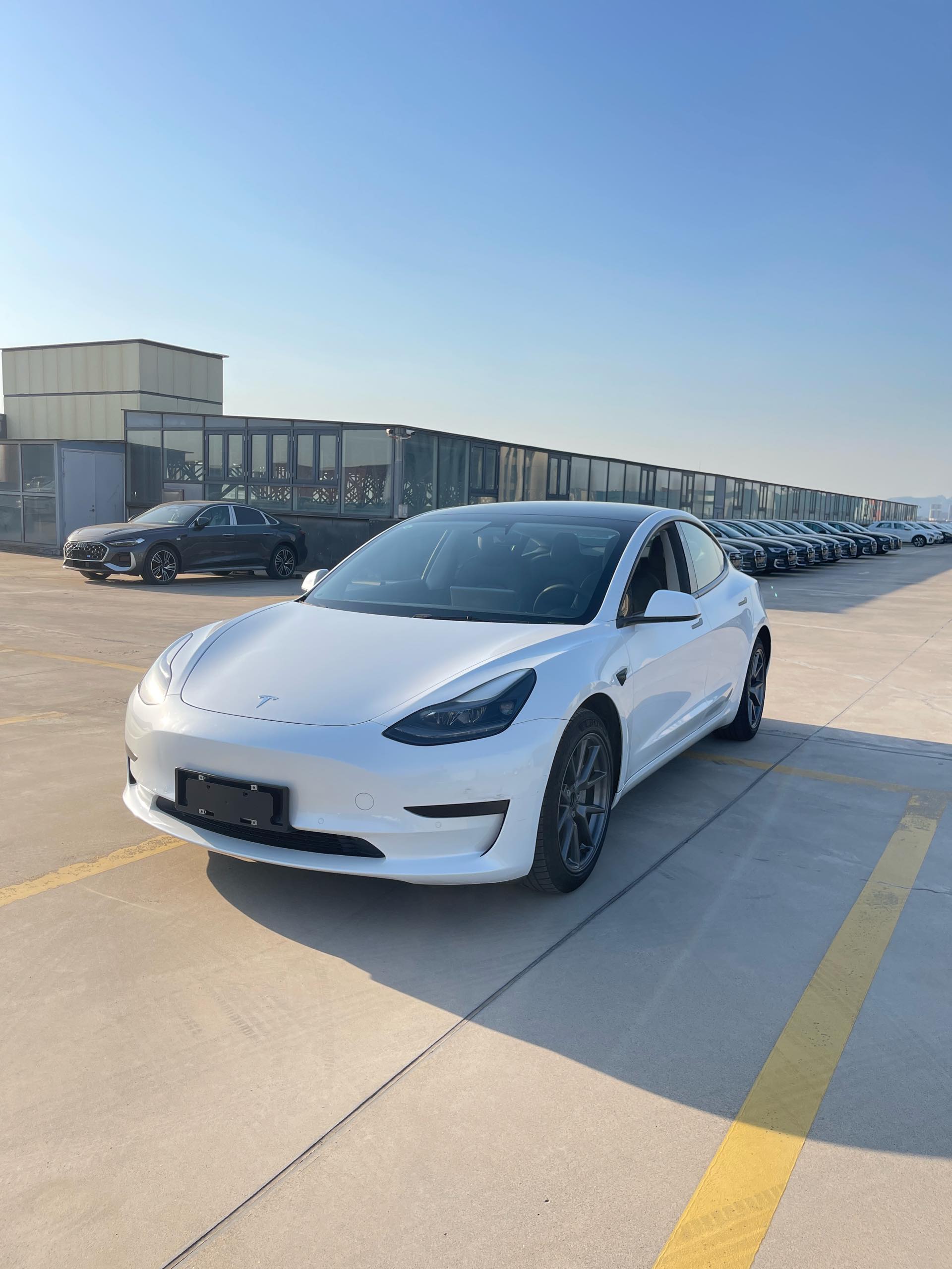 Tesla Model 3 2021 Tesla Model 3 2021 car image