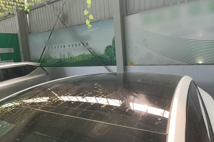 Tesla Model Y 2022 car image #25