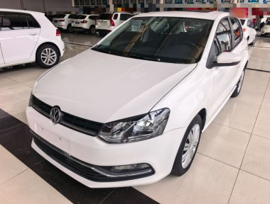 Volkswagen Polo 2019 car image 