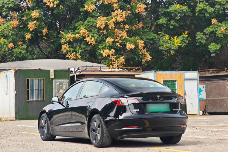 Tesla Model 3 2023 car image #7