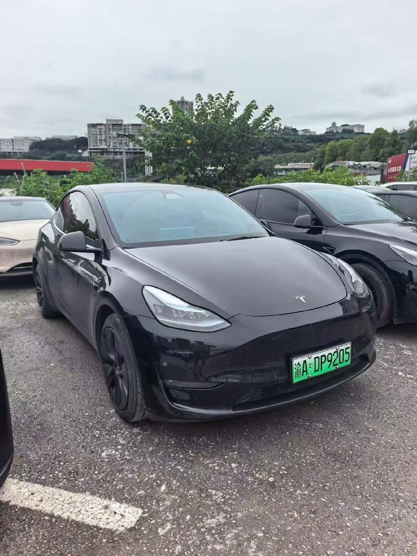 Tesla Model Y 2022 car image 