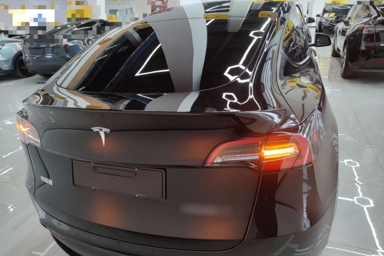 Tesla Model Y 2023 car image #4