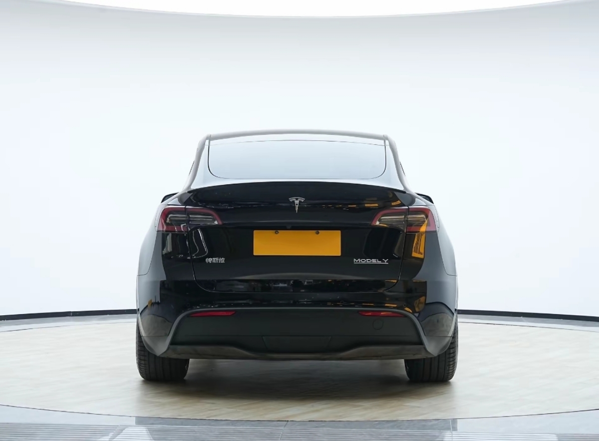 Tesla Model Y 2022 car image #9