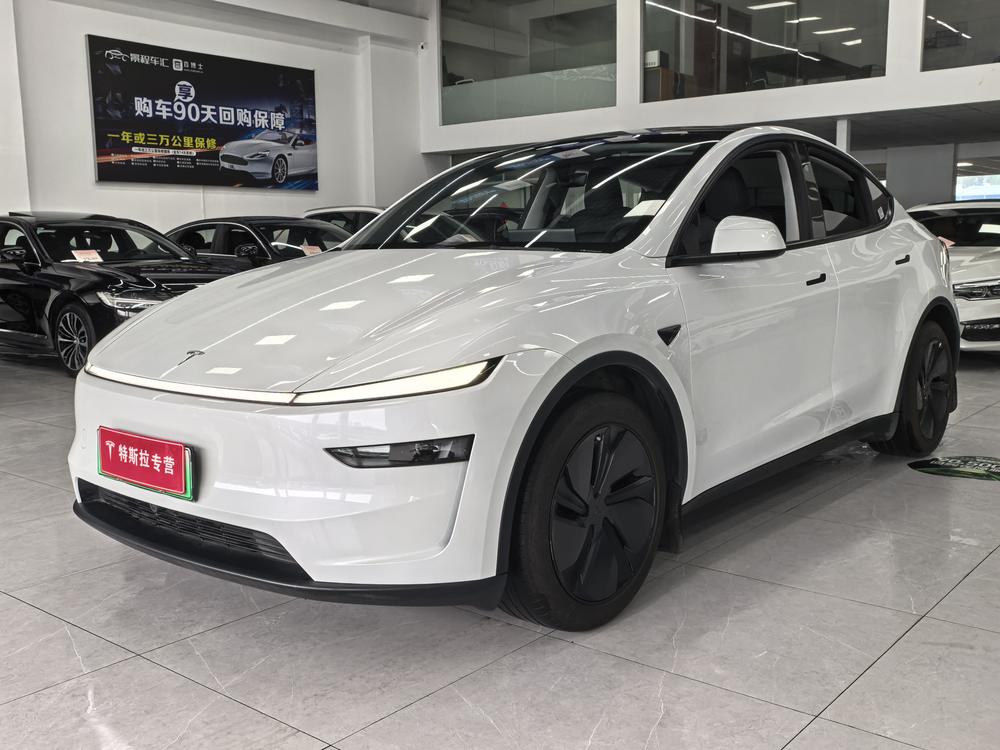 Tesla Model Y 2025 car image 