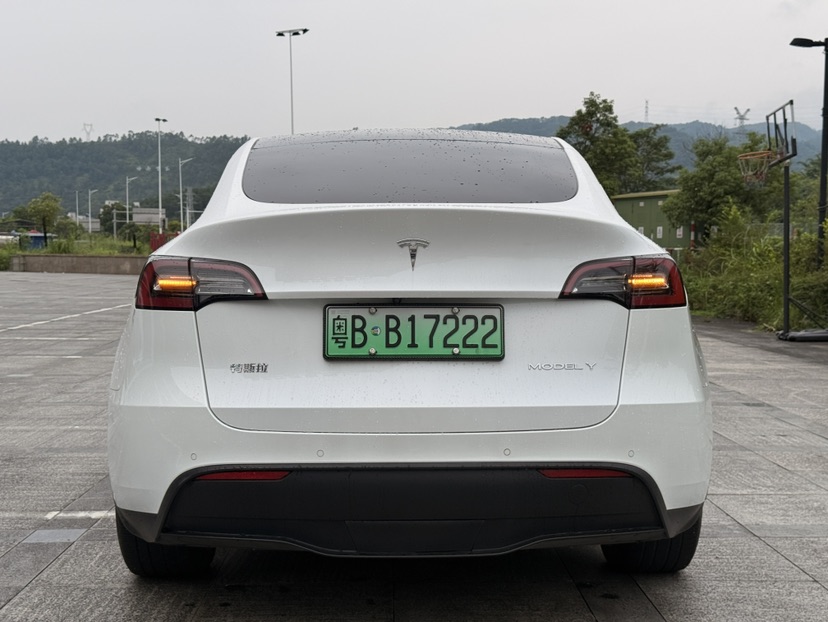 Tesla Model Y 2022 car image #8