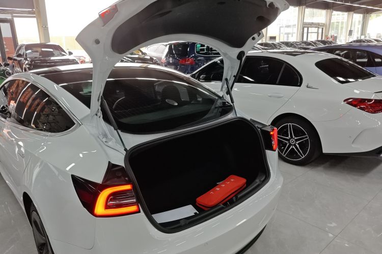 Tesla Model 3 2020 #19 Tesla Model 3 2020 car image #19