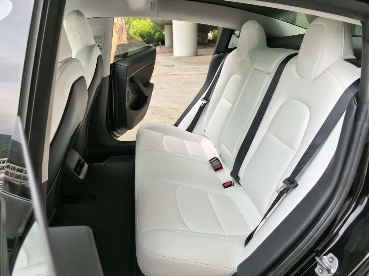 Tesla Model 3 2021 car image #7