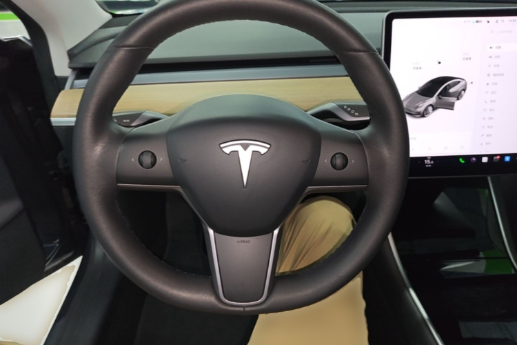 Tesla Model 3 2020 car image #11
