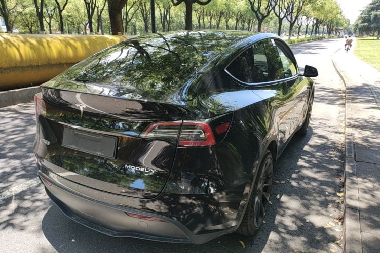 Tesla Model Y 2022 car image #7
