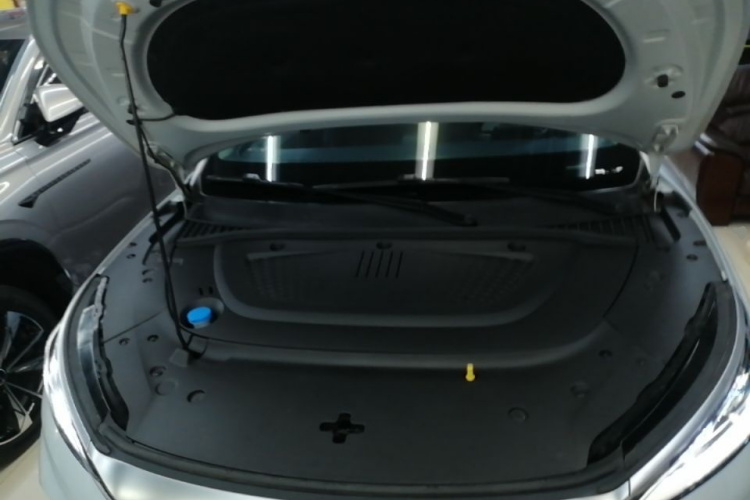 BYD Yuan Plus 2022 car image #20