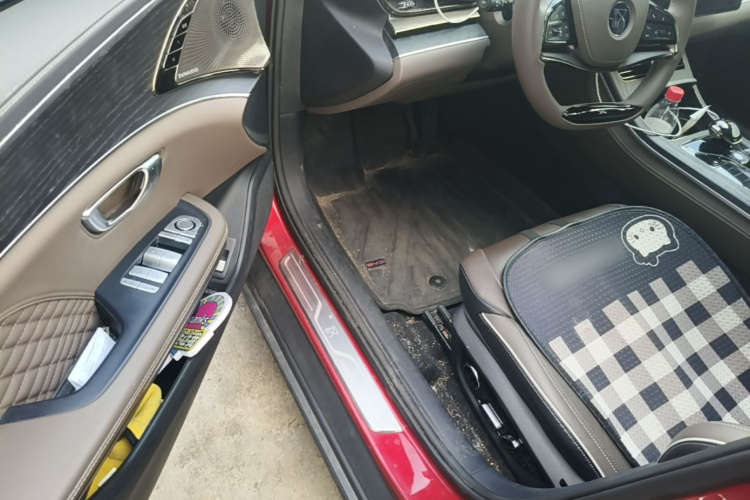 BYD Han 2023 imagen de coche #16
