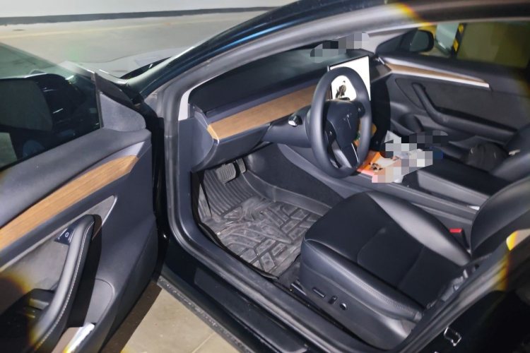 Tesla Model 3 2021 #13 Tesla Model 3 2021 car image #13