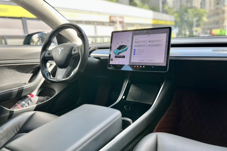 Tesla Model 3 2020 #13 Tesla Model 3 2020 car image #13