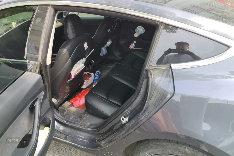 Tesla Model 3 2020 car image #19