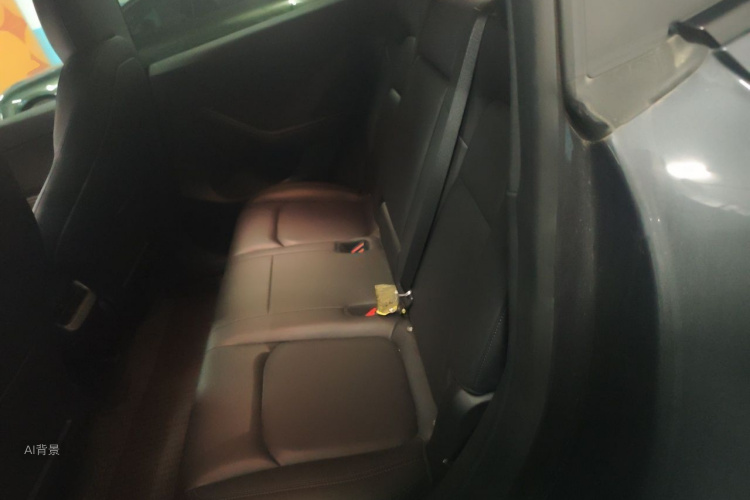 Tesla Model Y 2021 car image #19