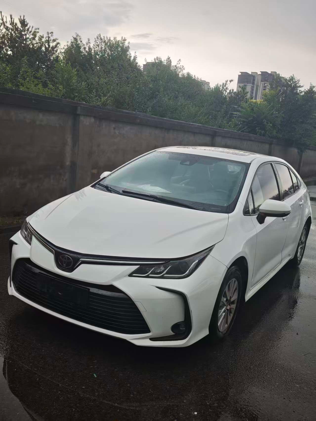 Toyota Corolla 2021 Toyota Corolla 2021 car image