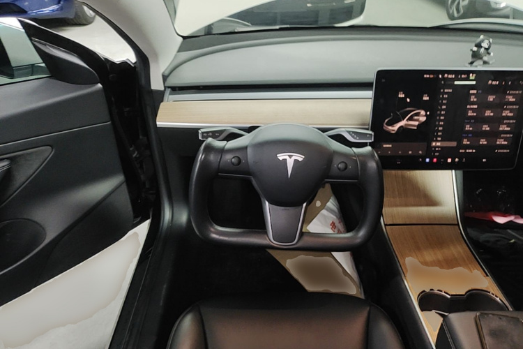 Tesla Model 3 2020 car image #11