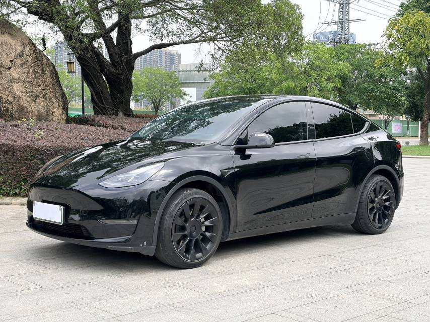 Tesla Model Y 2021 Tesla Model Y 2021 car image