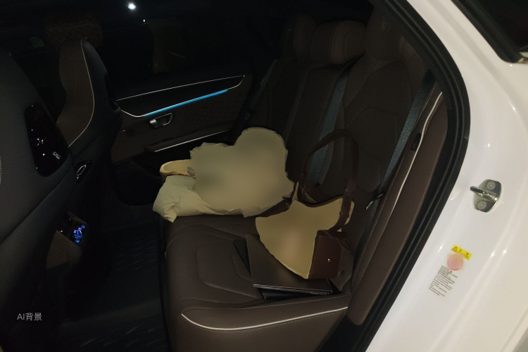 比亚迪 汉 2022 汽车图片 #19