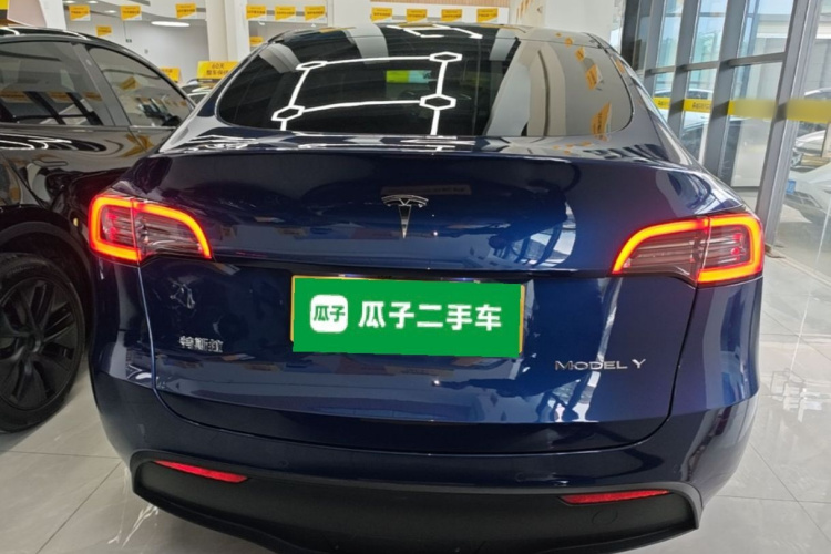 Tesla Model Y 2021 car image #6