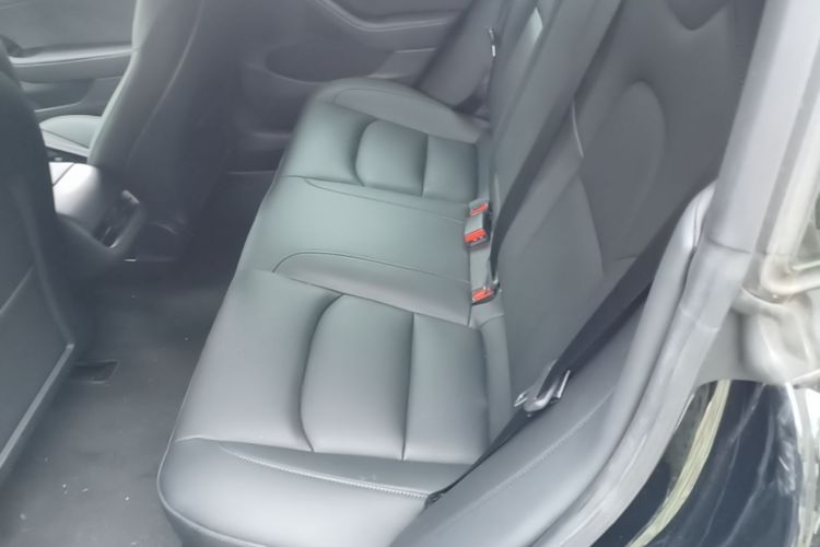 Tesla Model 3 2021 car image #17