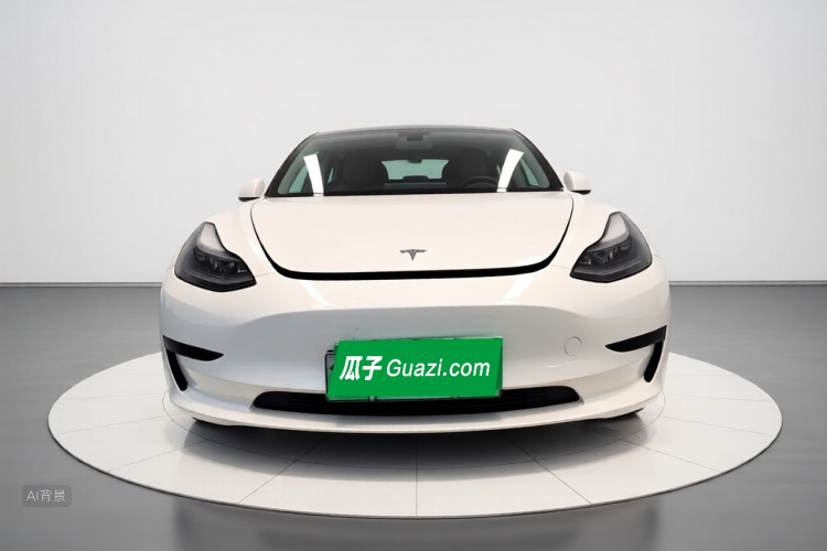 Tesla Model 3 2022 car image #3