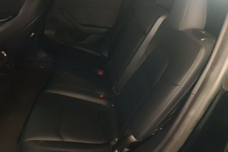 Tesla Model Y 2023 car image #10