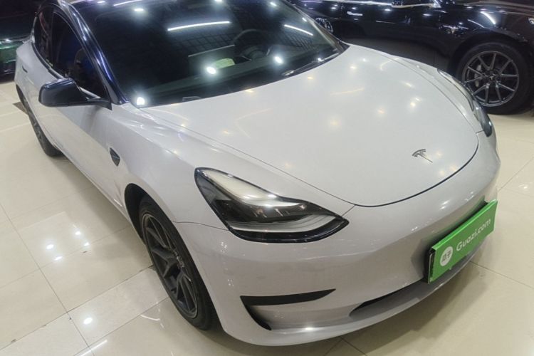 Tesla Model 3 2021 car image #6