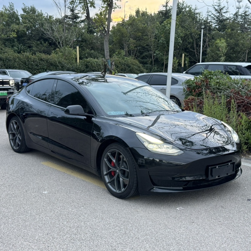 Tesla Model 3 2021 #2 Tesla Model 3 2021 car image #2