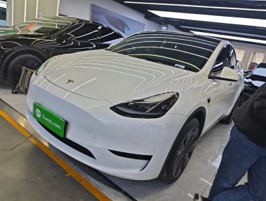 Tesla Model Y 2023 car image 