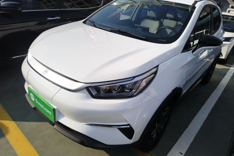 BYD Yuan Pro 2021 immagine di auto #2