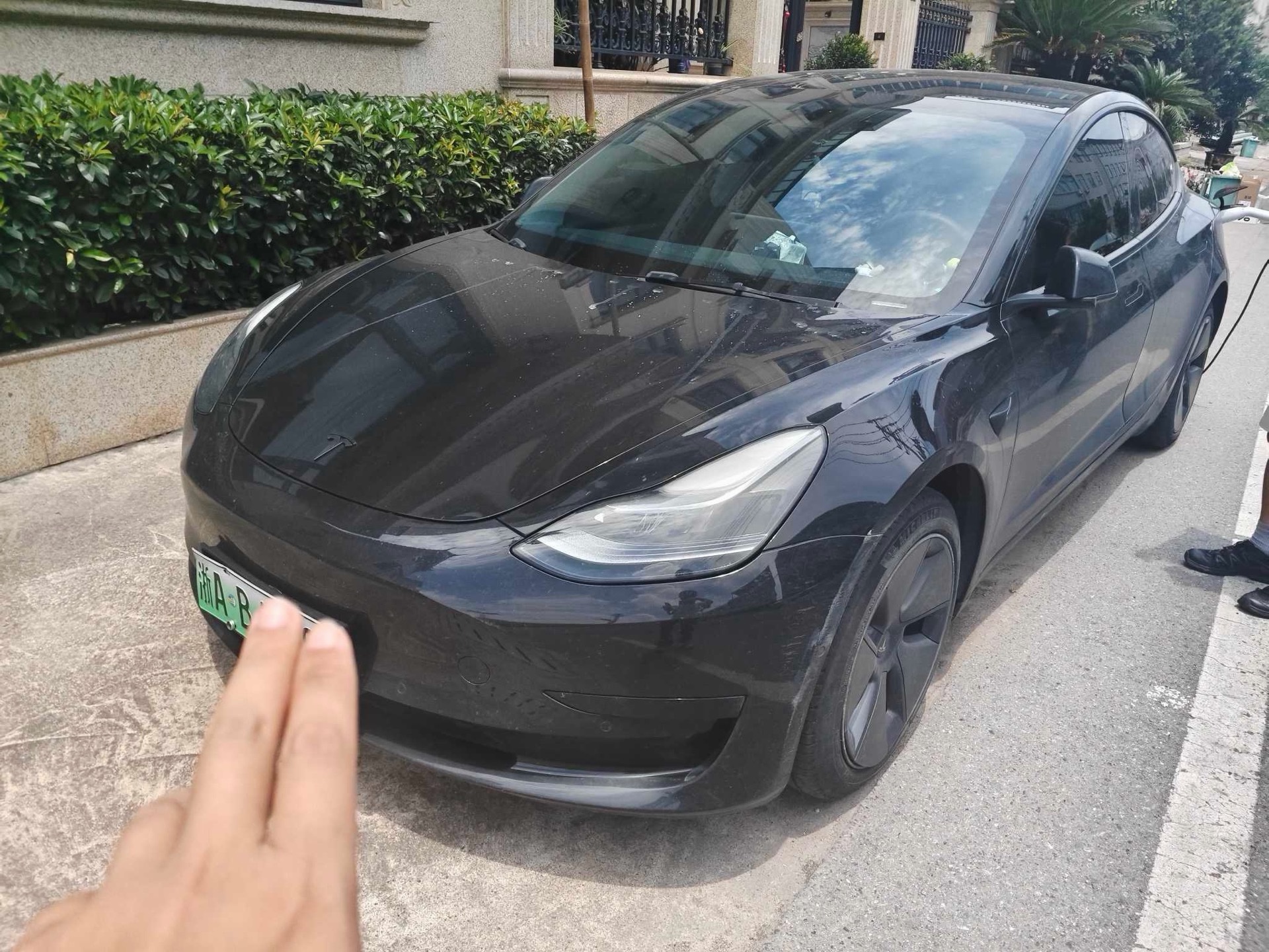 Tesla Model 3 2023 car image 