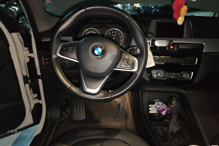 BMW X1 2017 #12 BMW X1 2017 car image #12