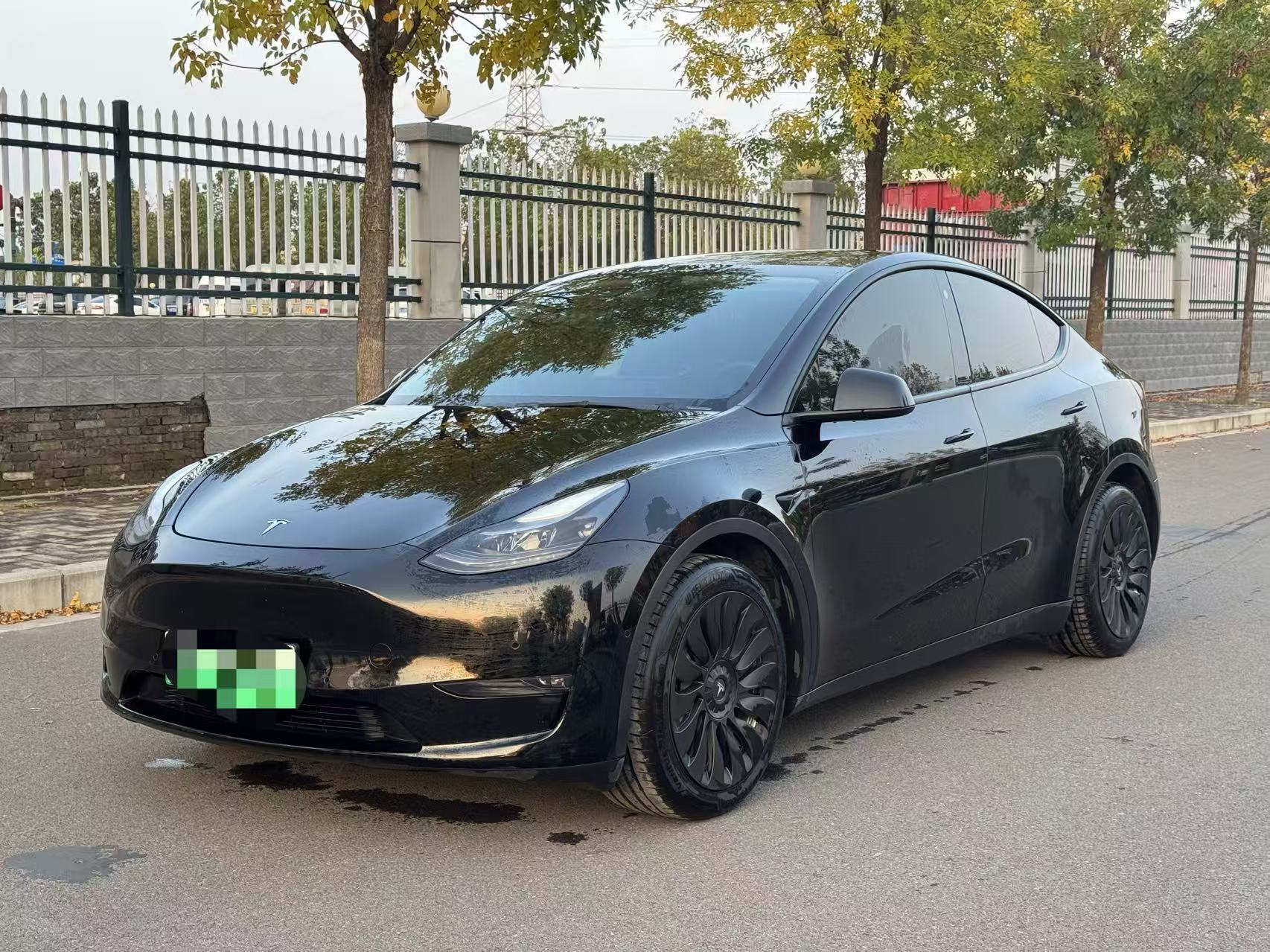 Tesla Model Y 2021 car image 