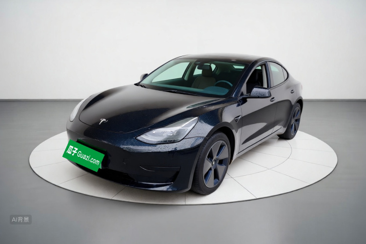 Tesla Model 3 2021 #2 Tesla Model 3 2021 car image #2