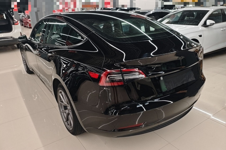 Tesla Model 3 2023 #7 Tesla Model 3 2023 car image #7