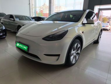 Tesla Model Y 2022 car image 