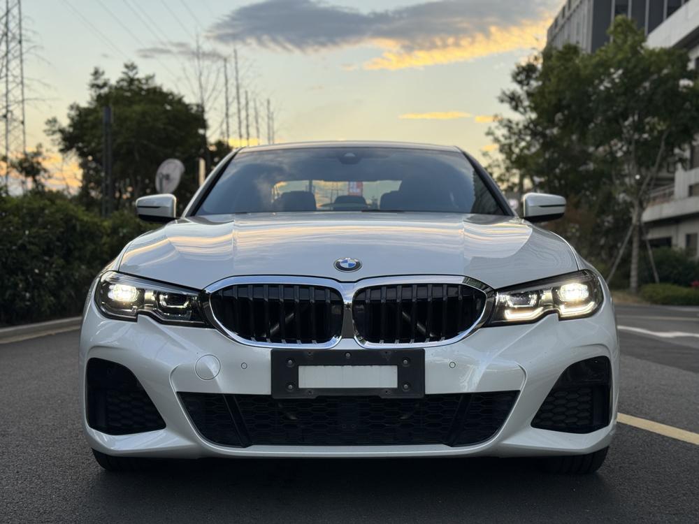 BMW 3 Series 2019 #2 BMW 3 Series 2019 car image #2