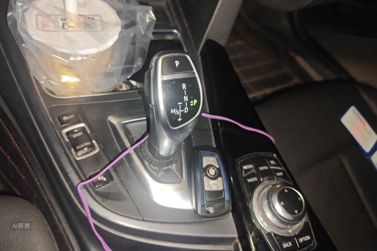 BMW 3 Series 2017 car image #16