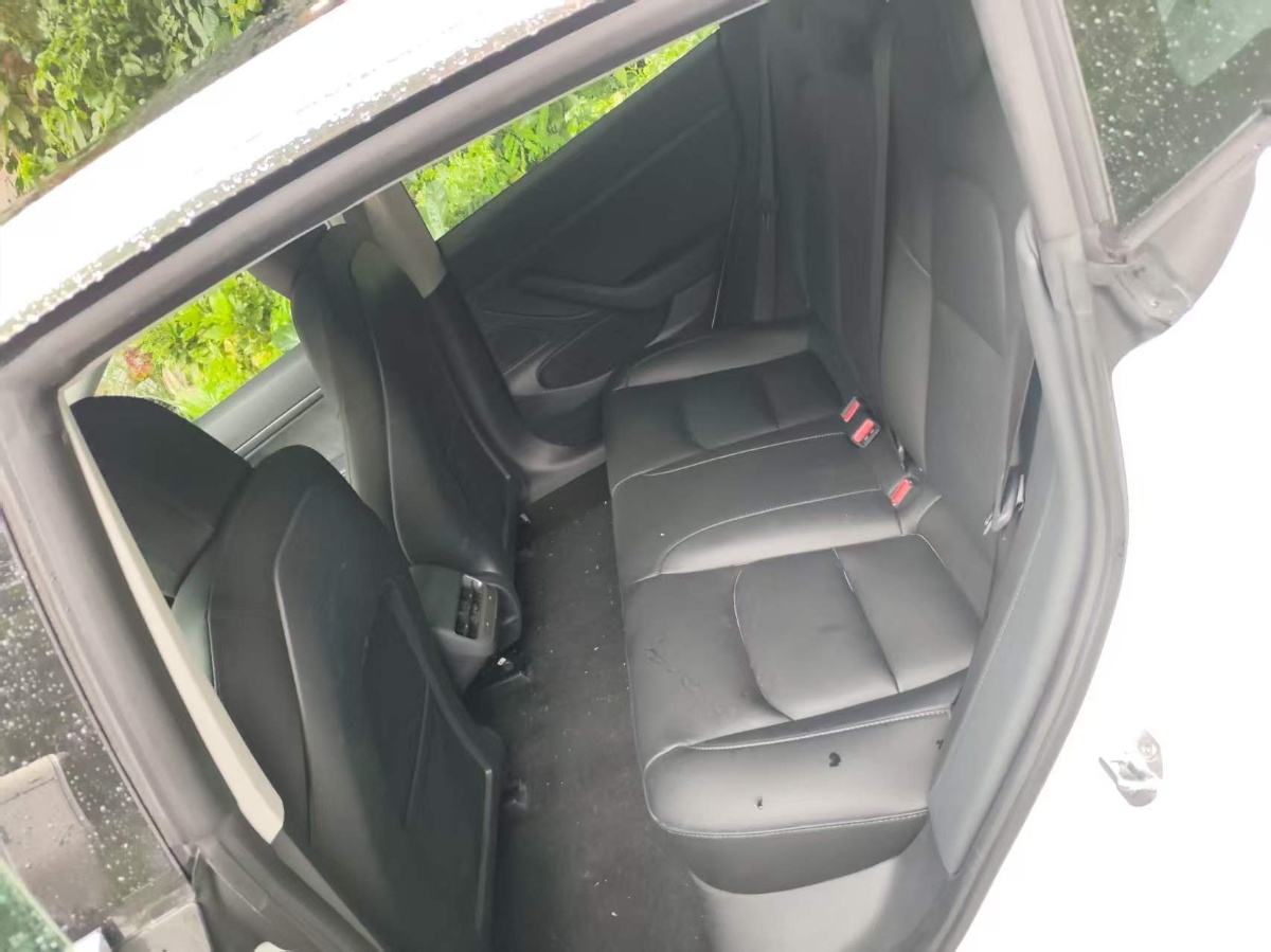 Tesla Model 3 2020 #5 Tesla Model 3 2020 car image #5