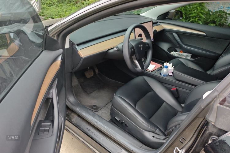 Tesla Model 3 2022 car image #18
