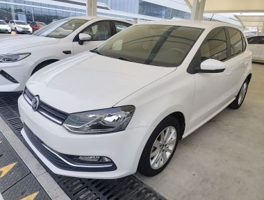 Volkswagen Polo 2015 car image 