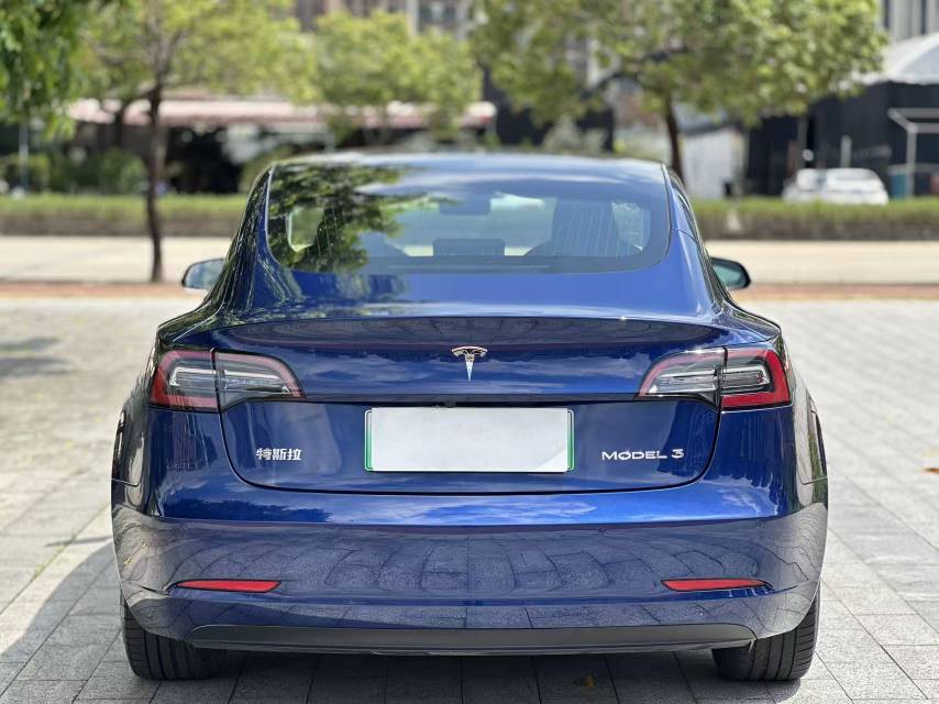 Tesla Model 3 2020 #10 Tesla Model 3 2020 car image #10
